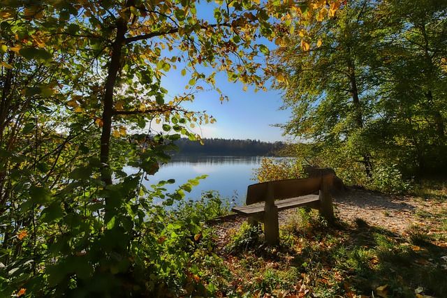 最大潜能 最大潜能