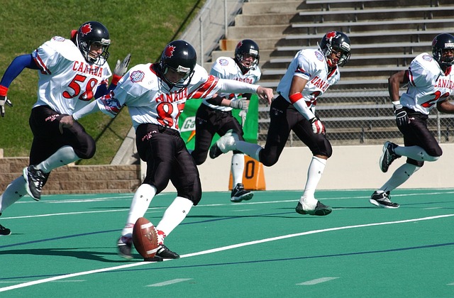 全国各地的 全国各地的