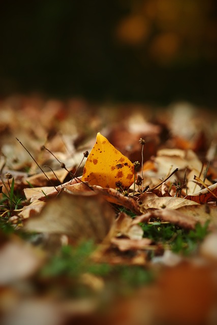 在快节奏的 在快节奏的
