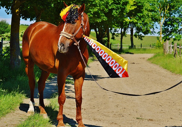 2025环浙骑游嵊州站落幕.