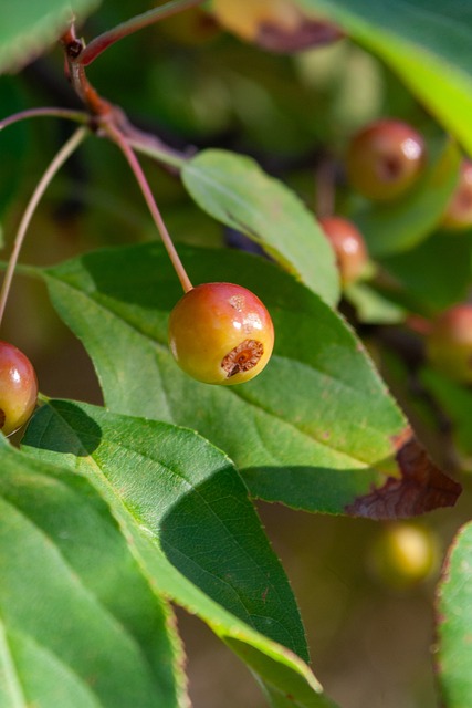 了太阳在防 了太阳在防