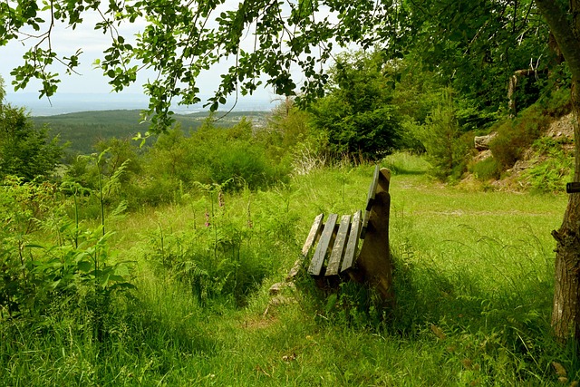 诸多奇观 诸多奇观