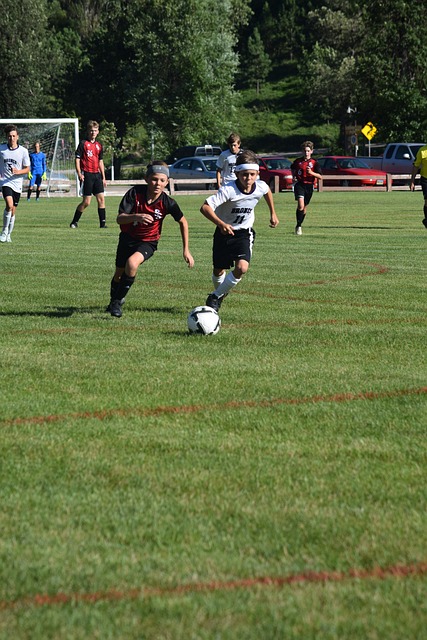 综上所述 综上所述