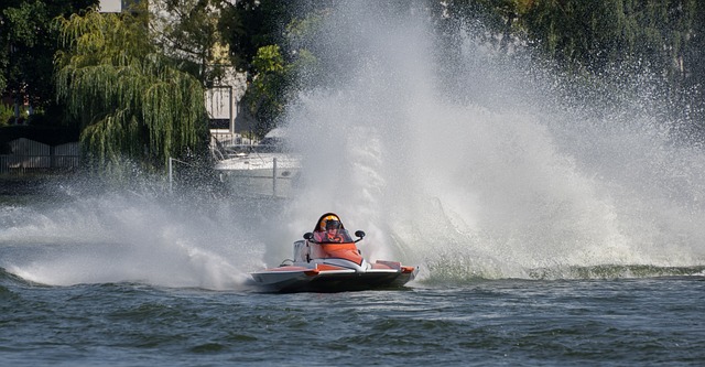 转会市场上 转会市场上